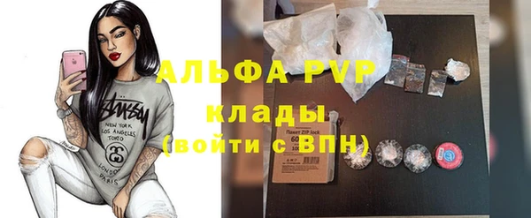 PSILOCYBIN Гусев