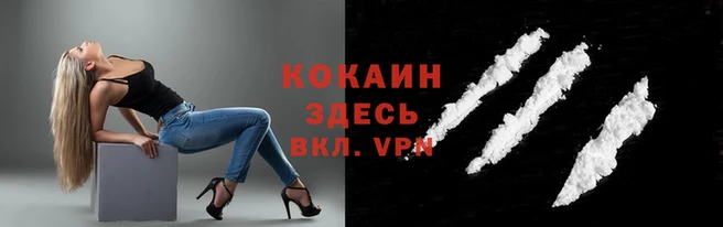 jwh Гусь-Хрустальный