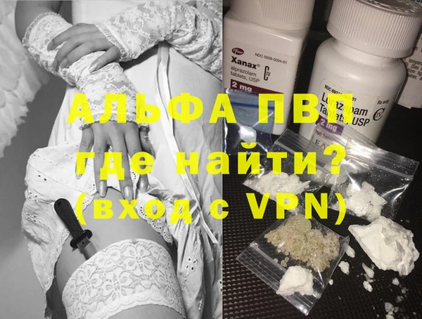 PSILOCYBIN Гусев