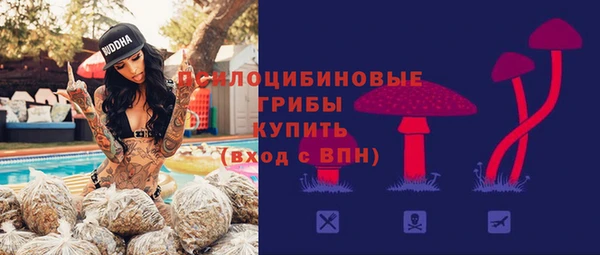 альфа пвп Горно-Алтайск