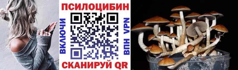 блэк спрут ТОР  Павловская  Галлюциногенные грибы MAGIC MUSHROOMS 